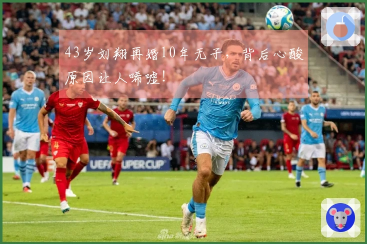 43岁刘翔再婚10年无子，背后心酸原因让人唏嘘！