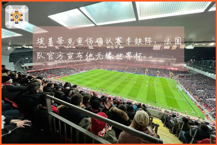 埃基蒂克重伤确认赛季缺阵，法国队官方宣布他无缘世界杯
